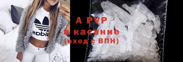 ECSTASY Вяземский