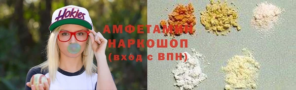 прущие грибы Вязьма
