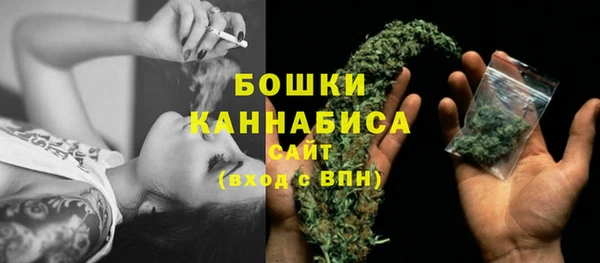 Альфа ПВП Горнозаводск