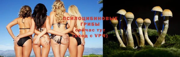 Альфа ПВП Горнозаводск