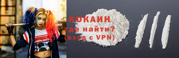 ГАЛЛЮЦИНОГЕННЫЕ ГРИБЫ Вязники