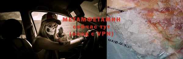 прущие грибы Вязьма