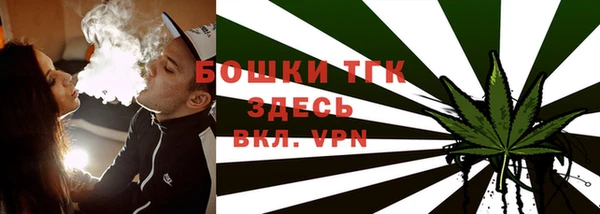ГАЛЛЮЦИНОГЕННЫЕ ГРИБЫ Вязники