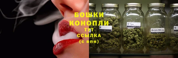 ГАЛЛЮЦИНОГЕННЫЕ ГРИБЫ Вязники