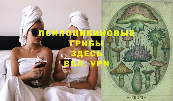 прущие грибы Вязьма