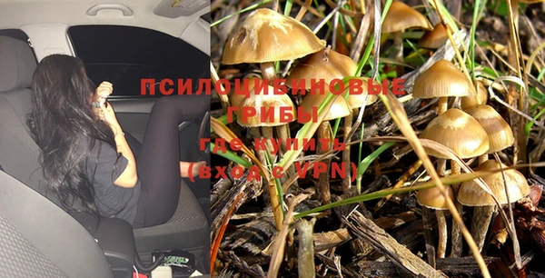 дурь Горняк