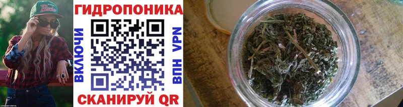 Каннабис Ganja Северск